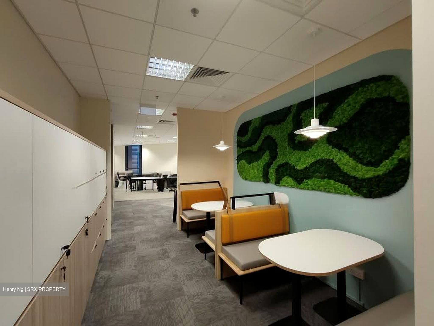 PLUS (D1), Office #537377201